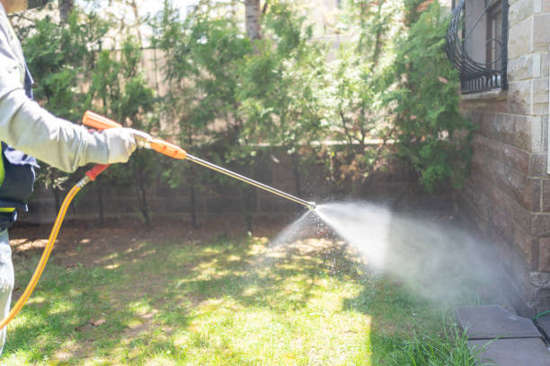 Insect Control in Bellwood, VA